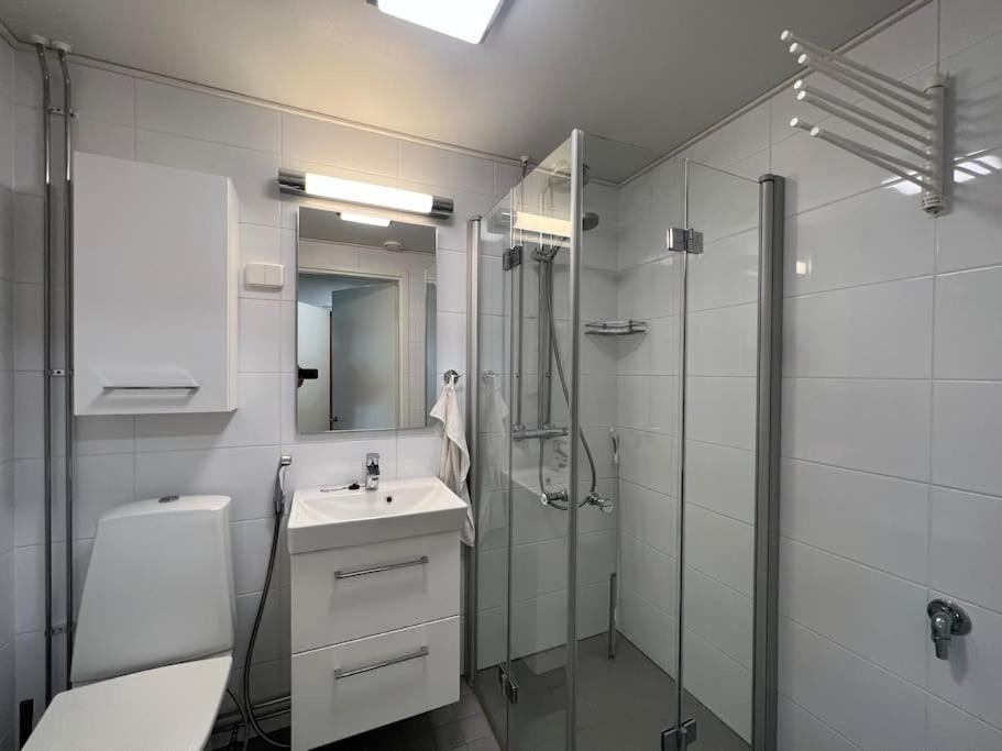 Studiohuoneisto Liisankatu Lappeenranta Dış mekan fotoğraf
